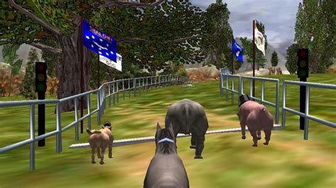 Zoo Race: Unleashing Chaotic Fun on Four Wheels!